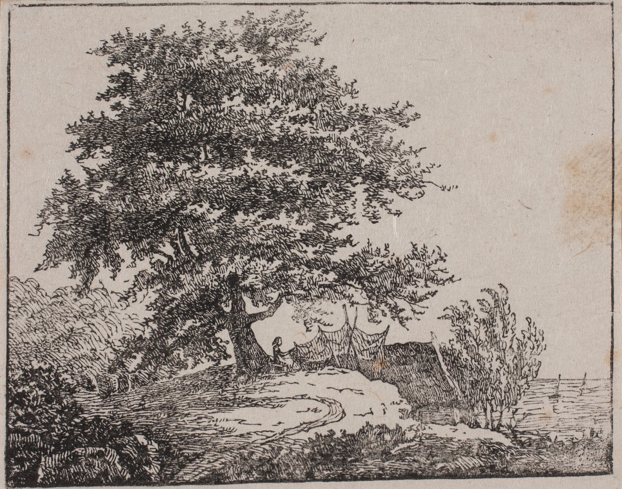 Arbre sur une pente près de la mer - Axel Theodor Kittendorff