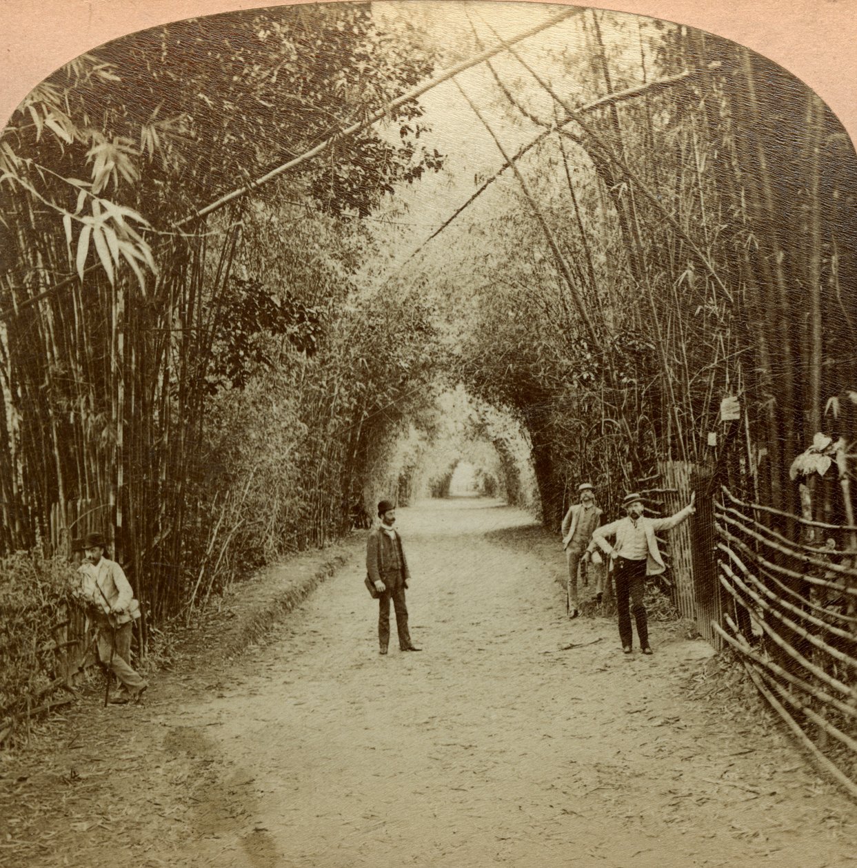Le Mardyke, Cork, Irlande - B. W. Kilburn