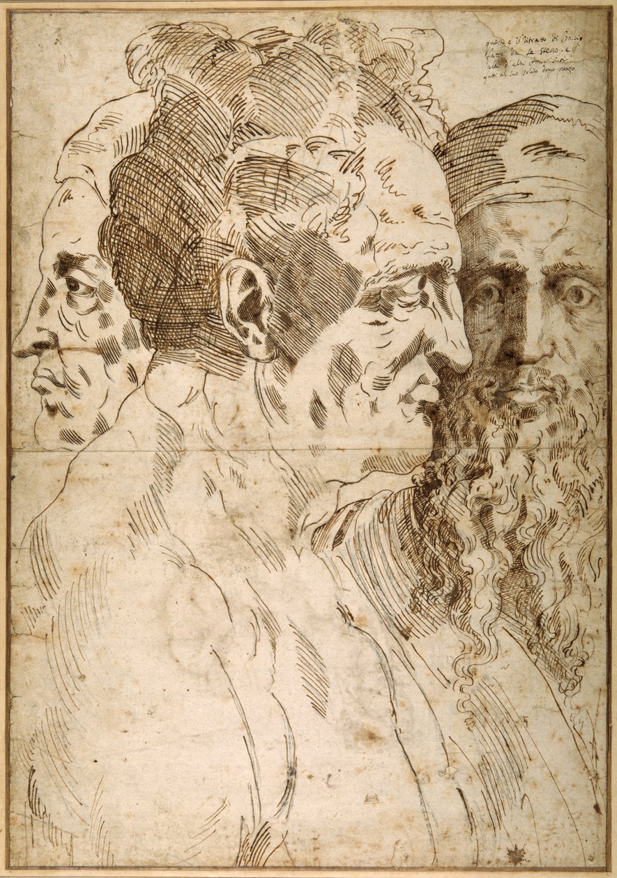 Trois têtes masculines juxtaposées - Baccio Bandinelli