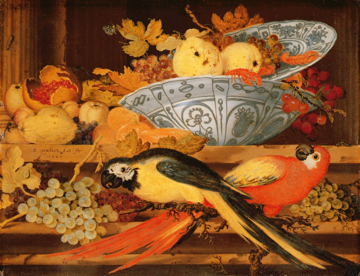 Nature morte avec fruits et aras, 1622 - Balthasar van der Ast