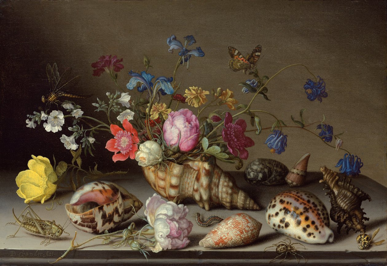 Fleurs, coquillages et insectes sur un rebord de pierre - Balthasar van der Ast
