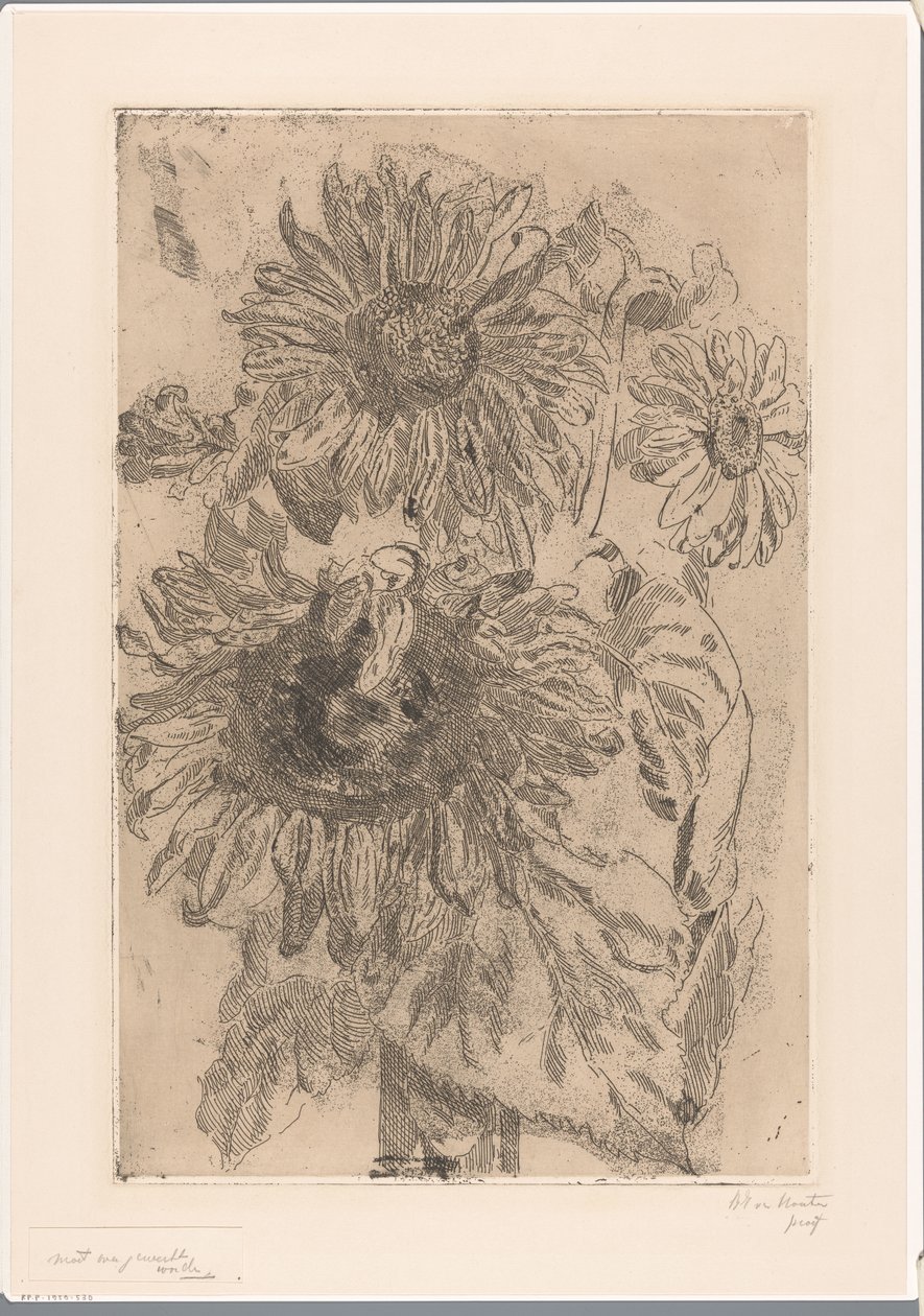 Trois tournesols dans un vase - Barbara Elisabeth van Houten (signed by artist)