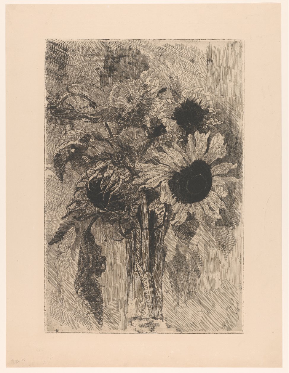 Tournesols dans un vase - Barbara Elisabeth van Houten (signed by artist)