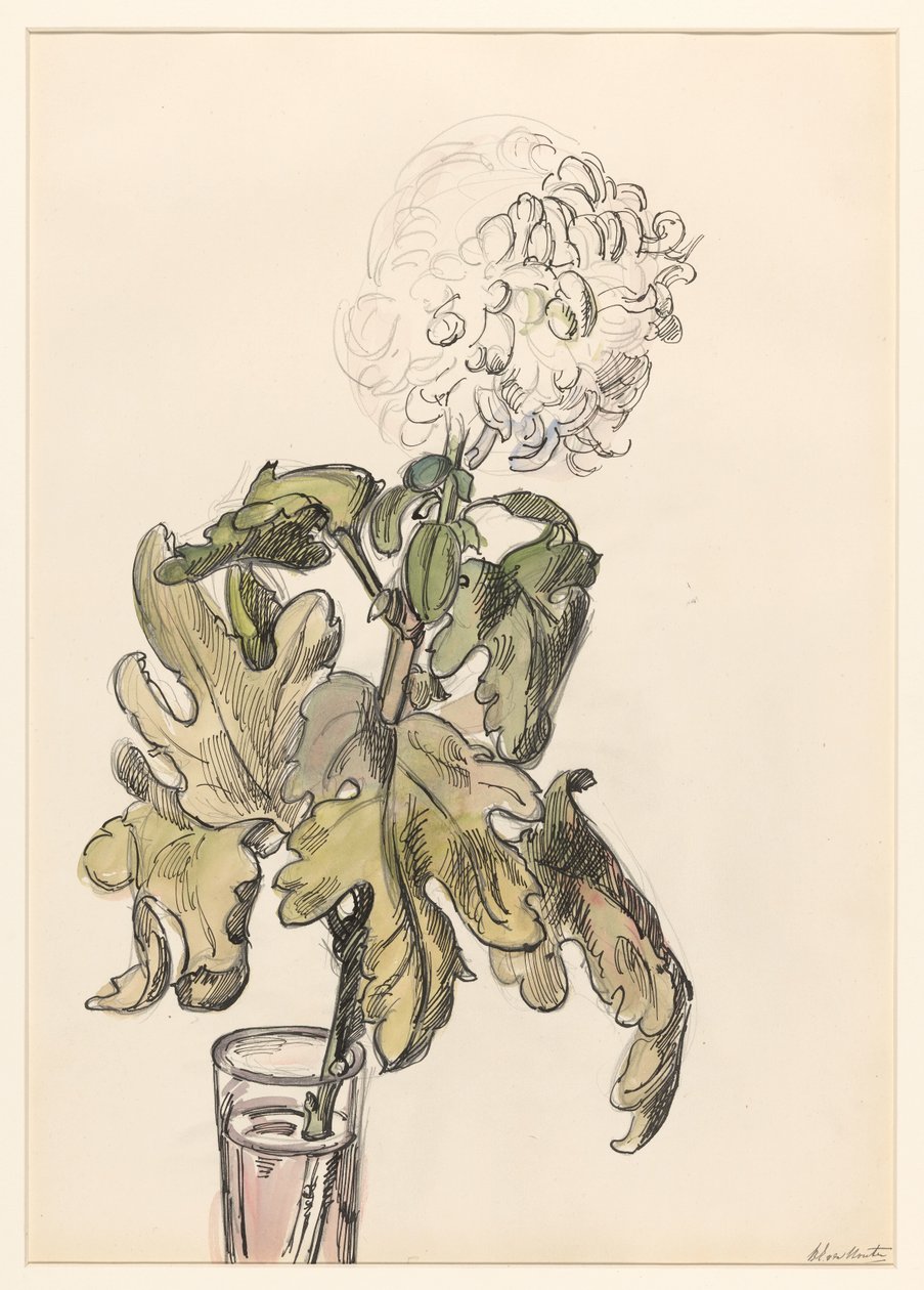 Chrysanthème en fleur, dans un vase - Barbara Elisabeth van Houten