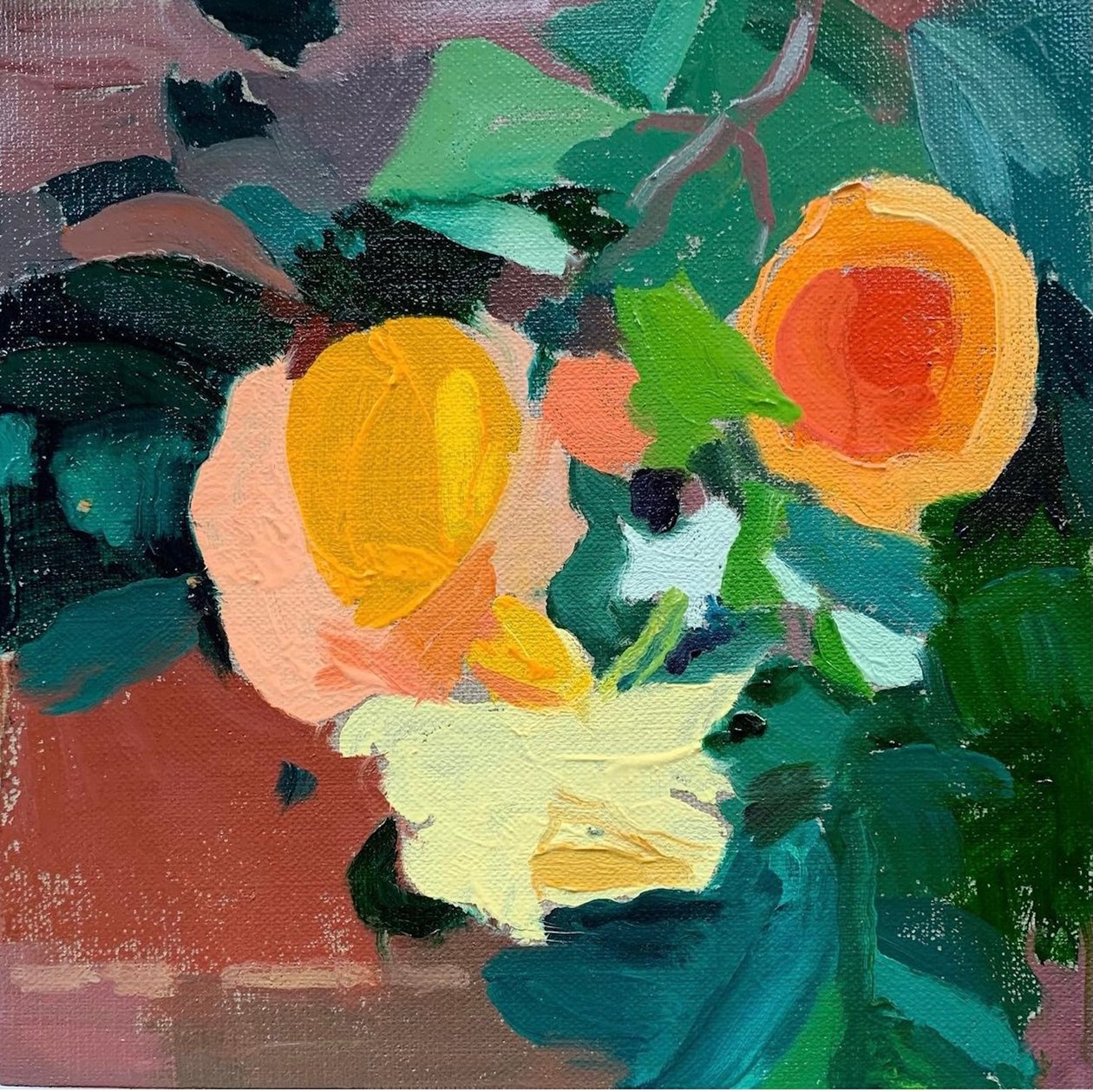 Dernière rose d