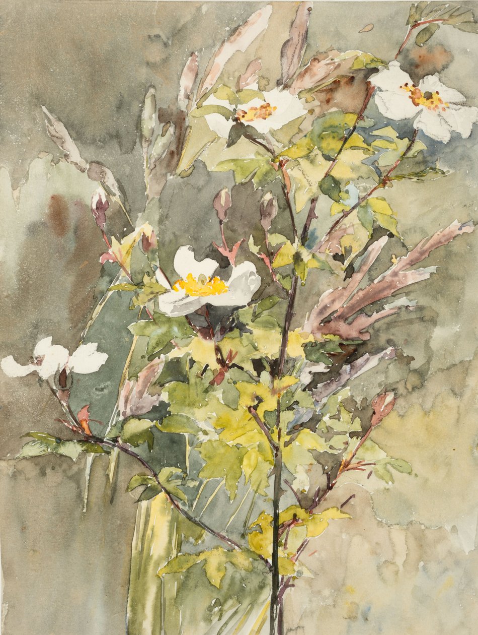 Fleurs sauvages - Barbara Leigh Smith Bodichon
