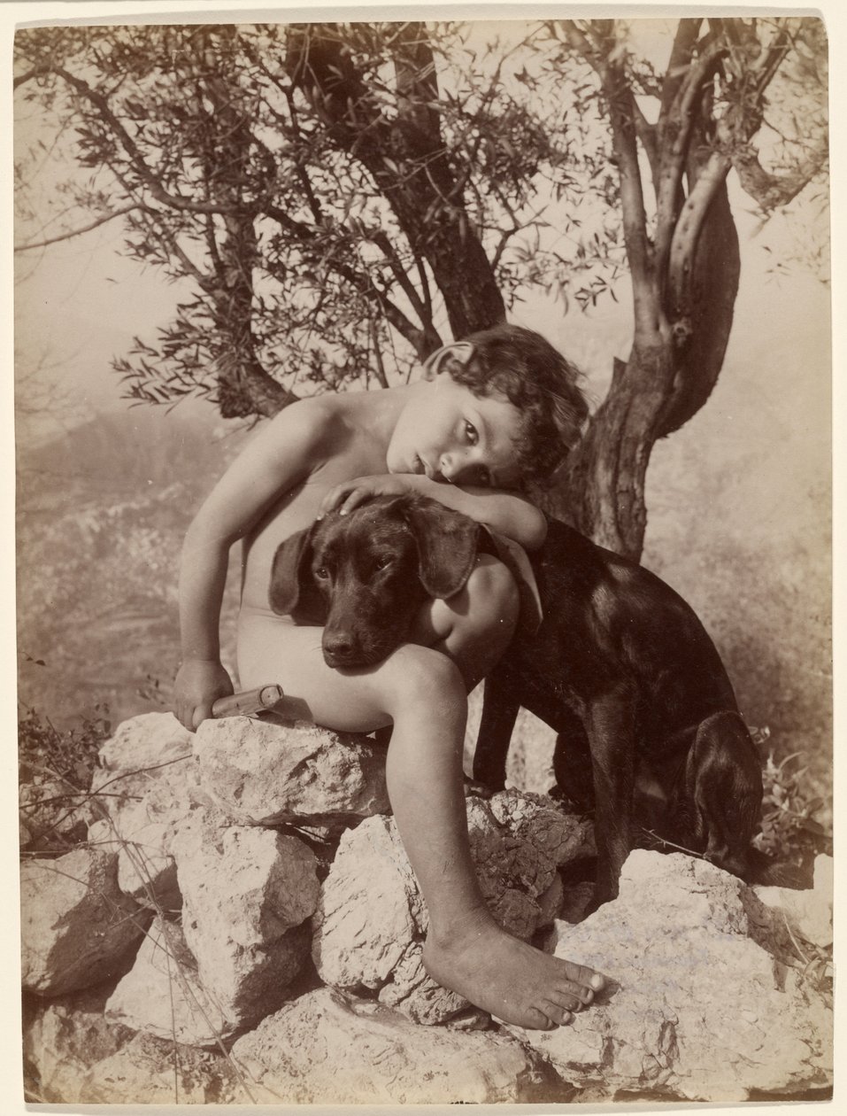 [Jeune garçon nu et un chien] - Baron Wilhelm von Gloeden