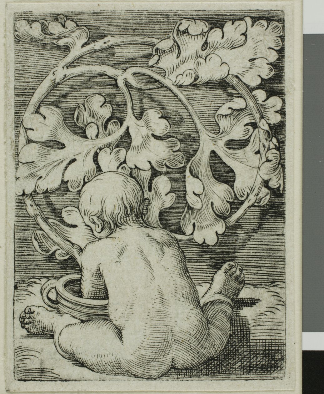 Enfant nu, vu de dos, assis devant un récipient - Barthel Beham