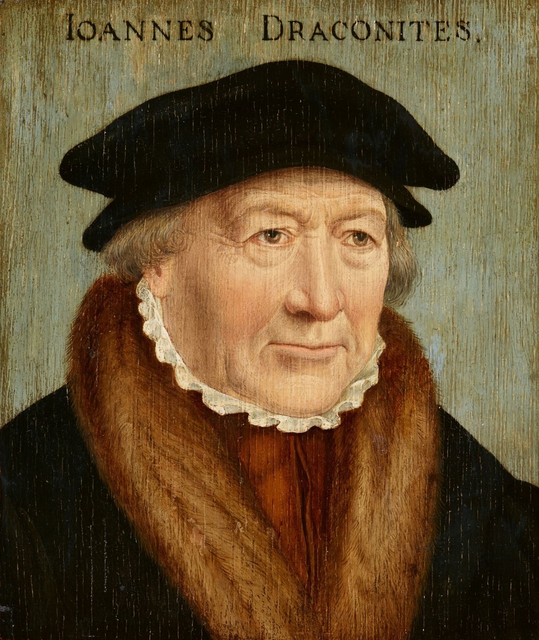 Portrait de Johannes Draconites - Bartholomaeus Bruyn the Elder