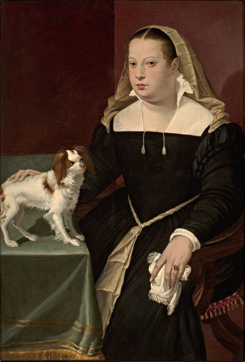 Portrait de dame avec un petit chien - Bartolomeo Passarotti
