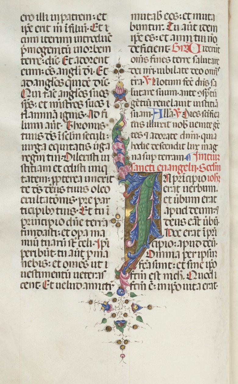 Missale : Fol. 22v : Feuillage avec poisson, 1469 - Bartolomeo Caporali