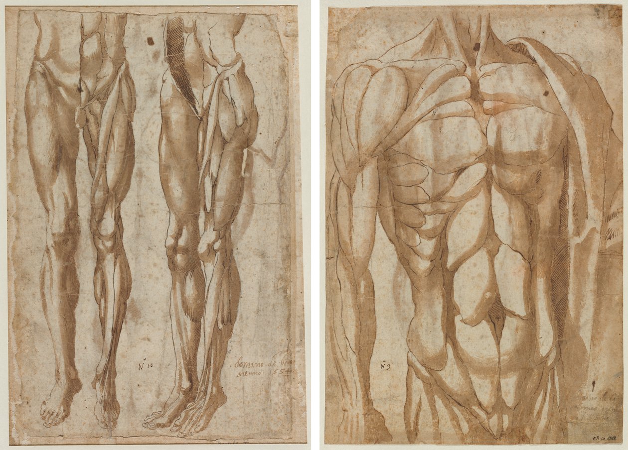 Deux études d