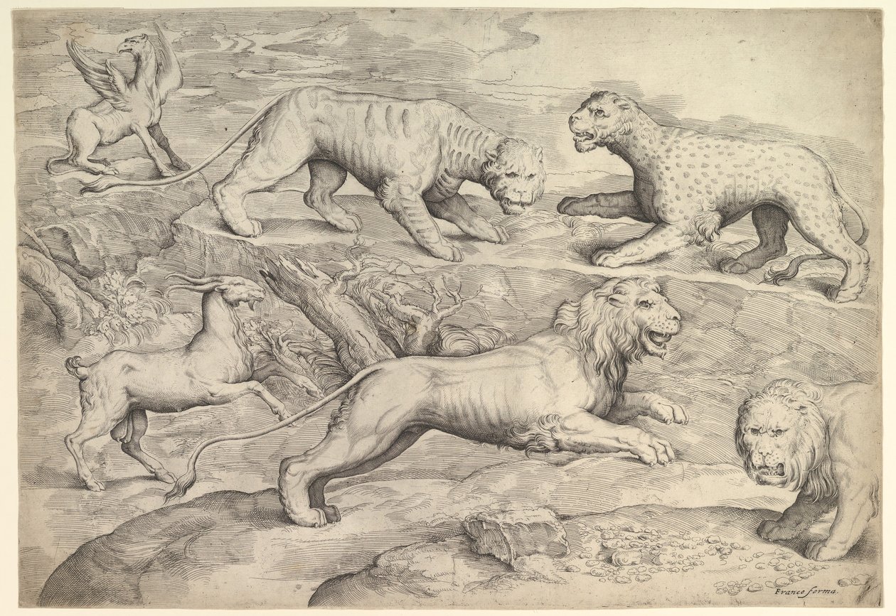Six animaux, y compris des lions, un tigre, un léopard, un griffon et une chèvre - Battista Franco Veneziano