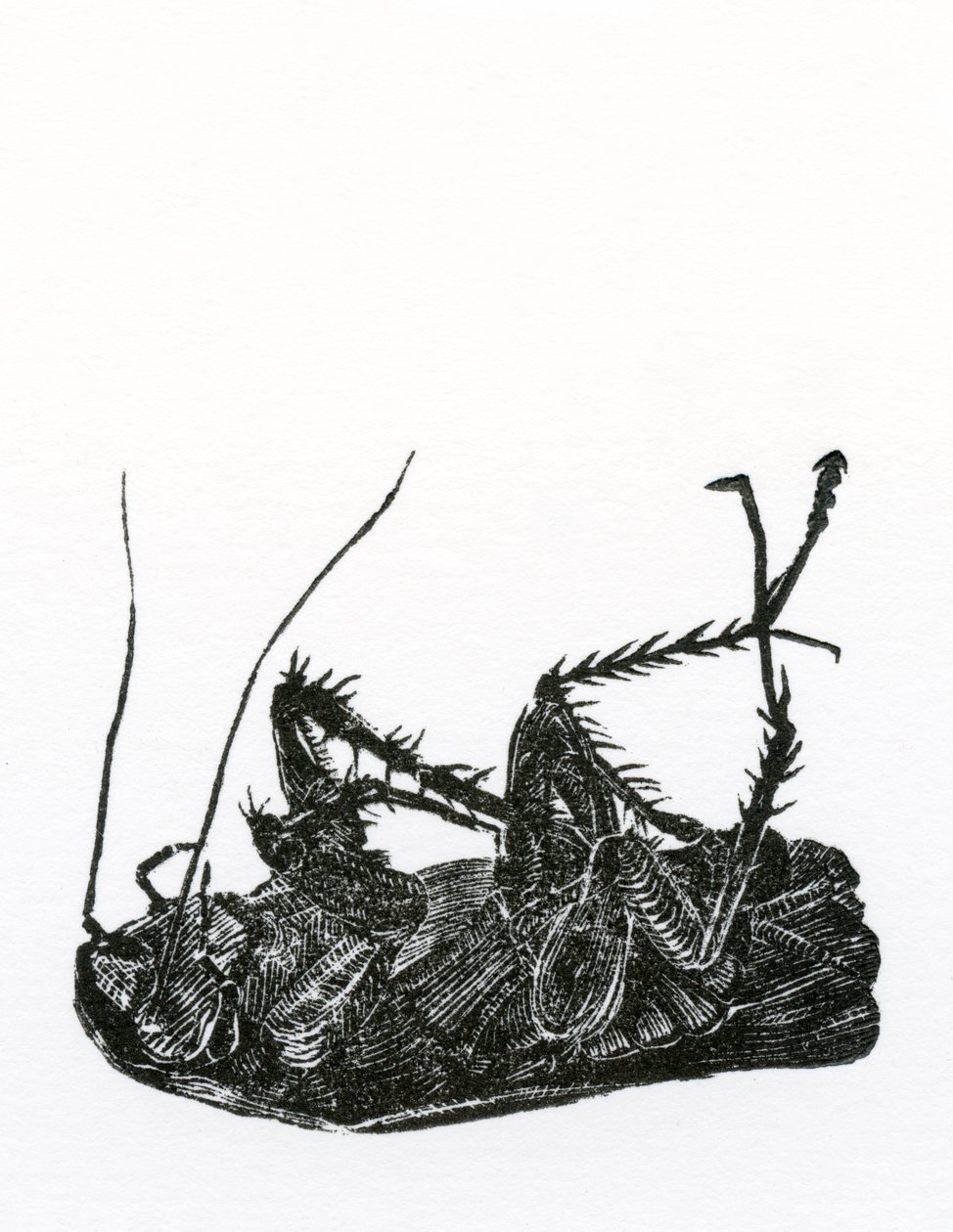 Cafard mort - Bella Larsson