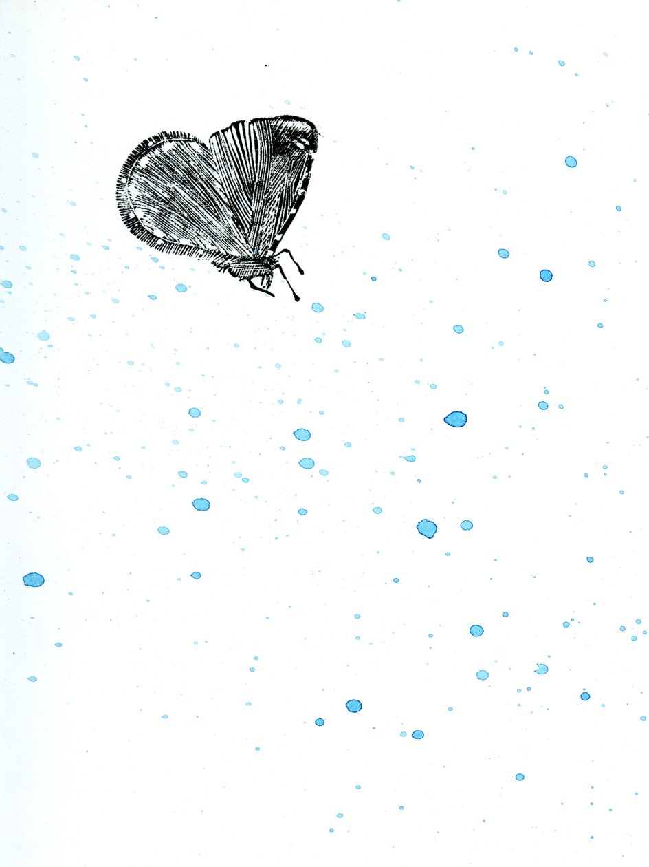 Papillon de nuit {Fay-erie Dust}, 2014 - Bella Larsson