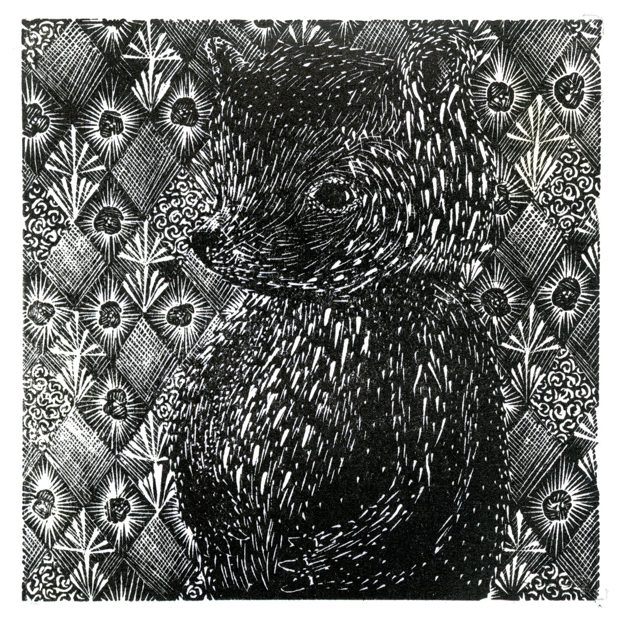 Ursus arctos ssp. domesticus, 2013 - Bella Larsson