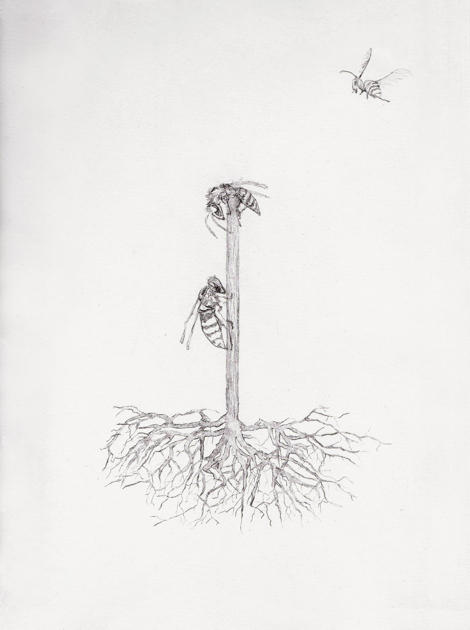 Arbre à guêpes - Bella Larsson
