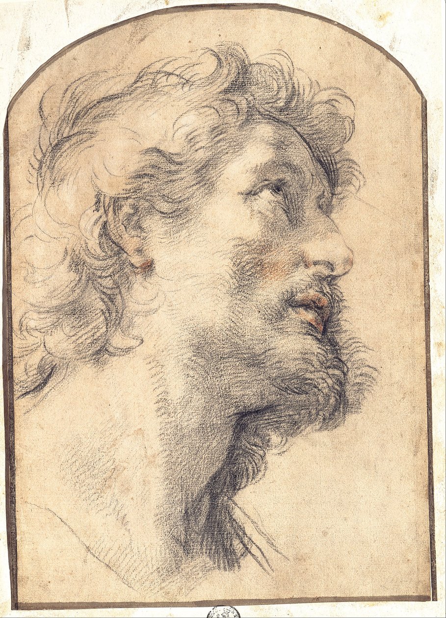 Étude de la tête de Saint Crispin - Benedetto Luti