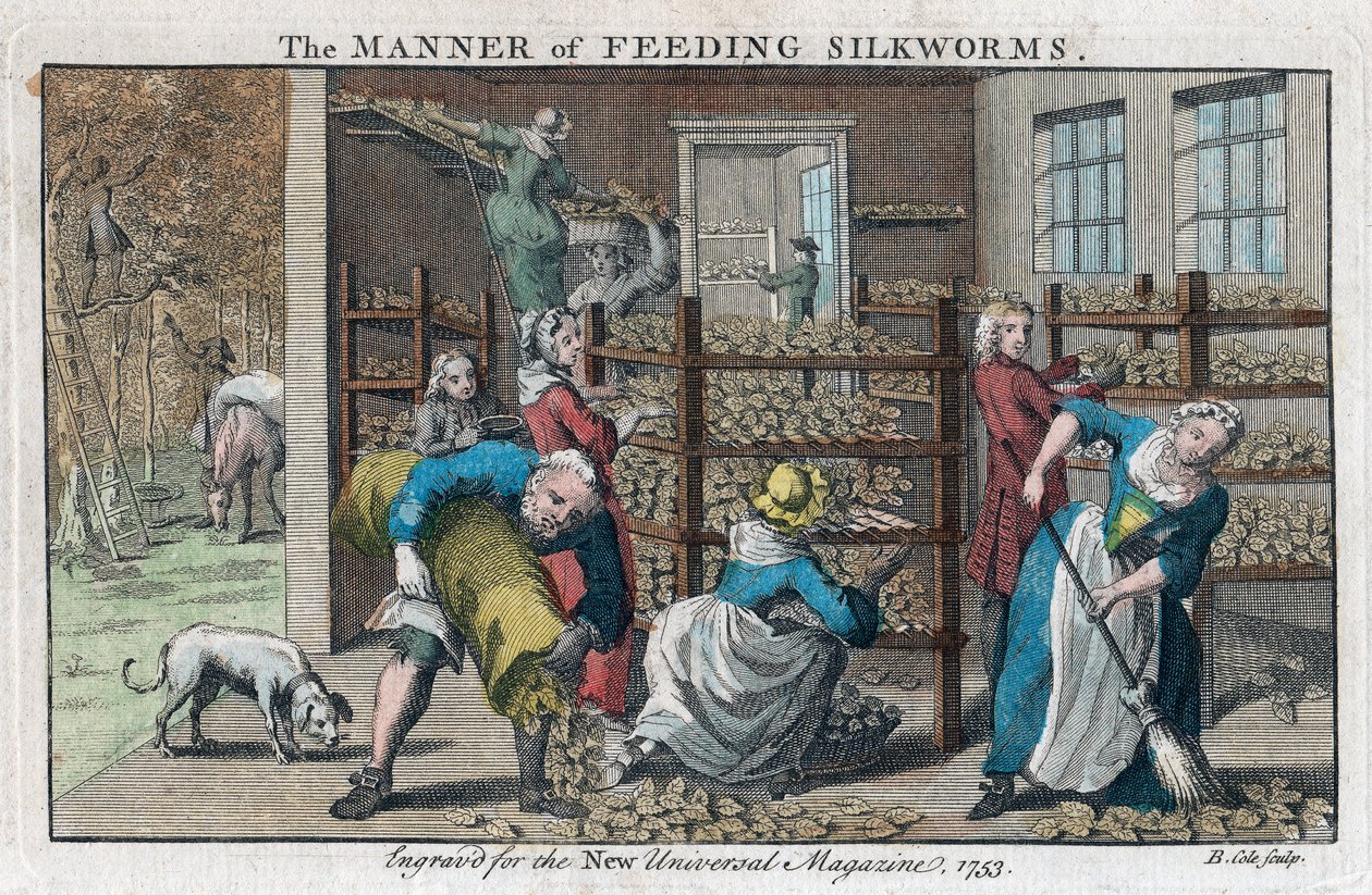 La manière de nourrir les vers à soie, 1753 - Benjamin Cole