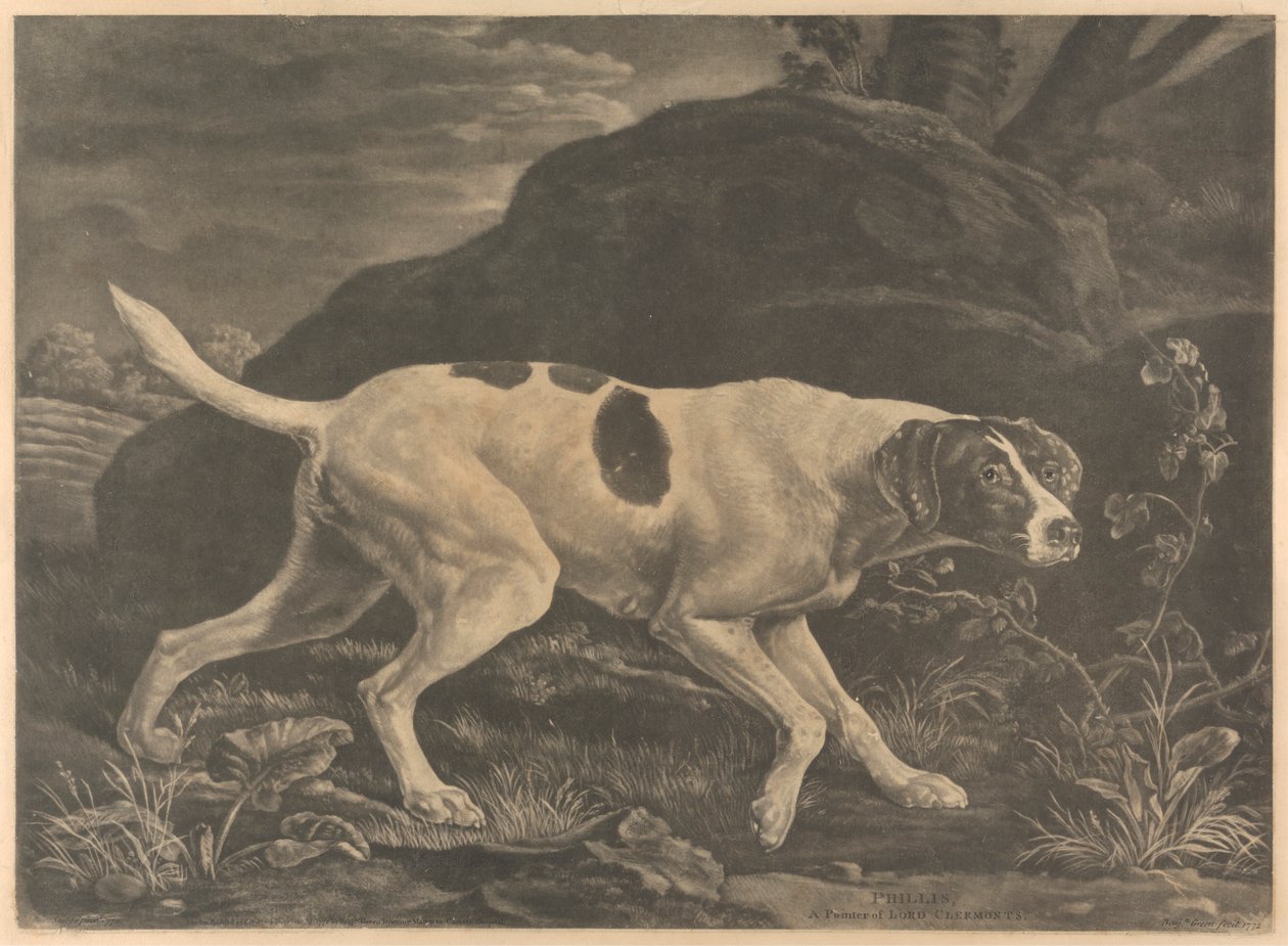 [Chasse] 