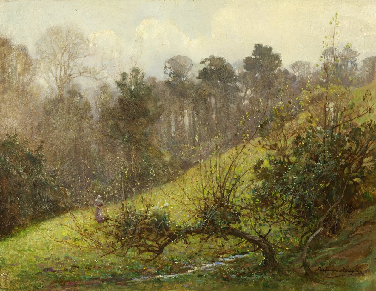 Oies et oisons - Benjamin Haughton