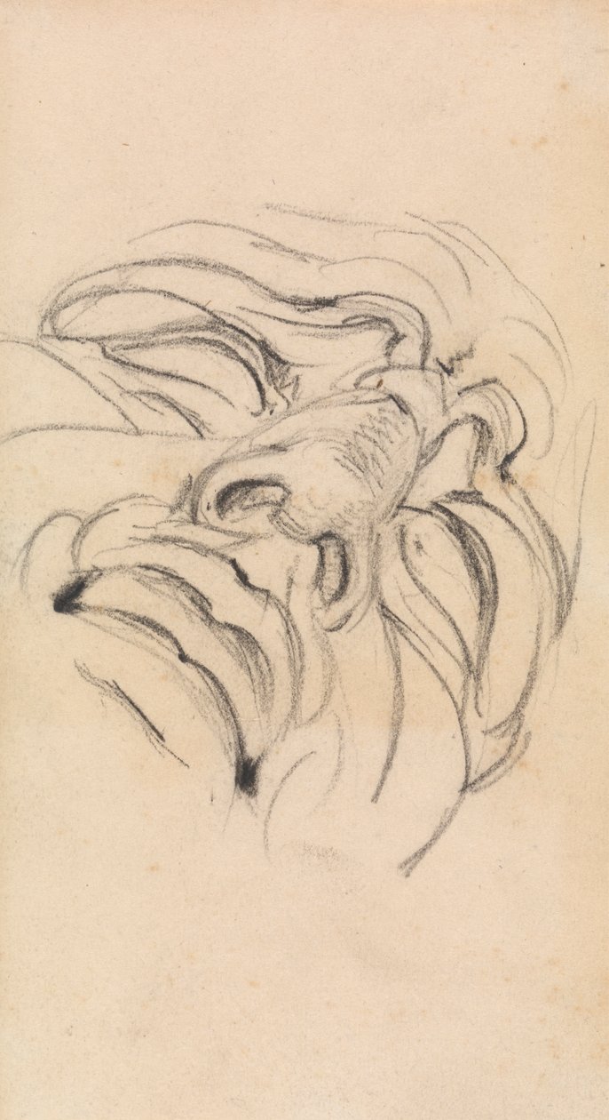 Étude du visage expressif d