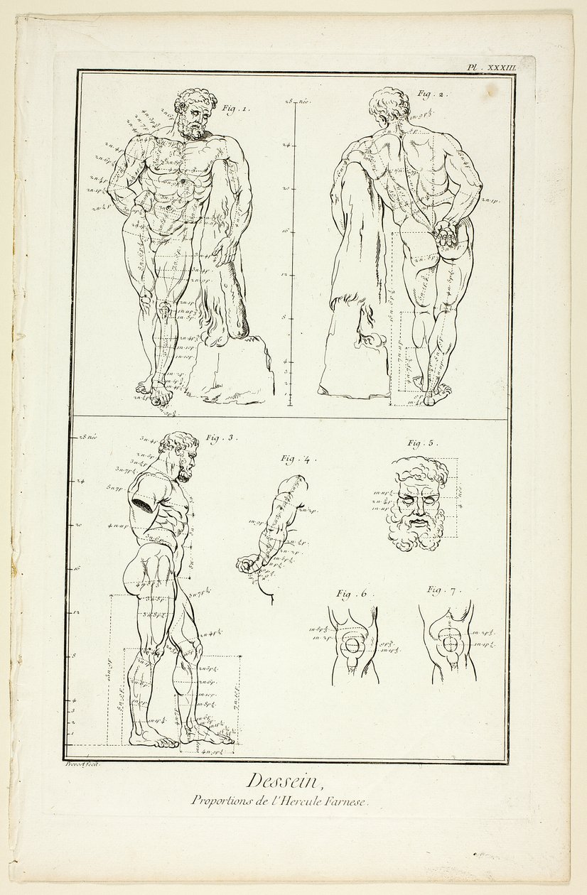 Dessin : Proportions de l