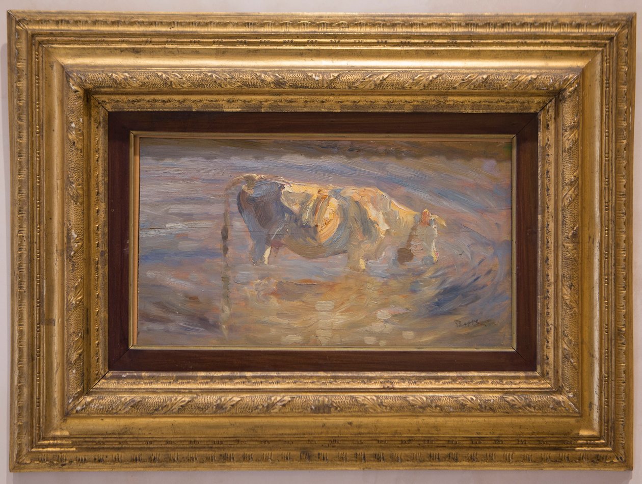 Vache - Beppe Ciardi