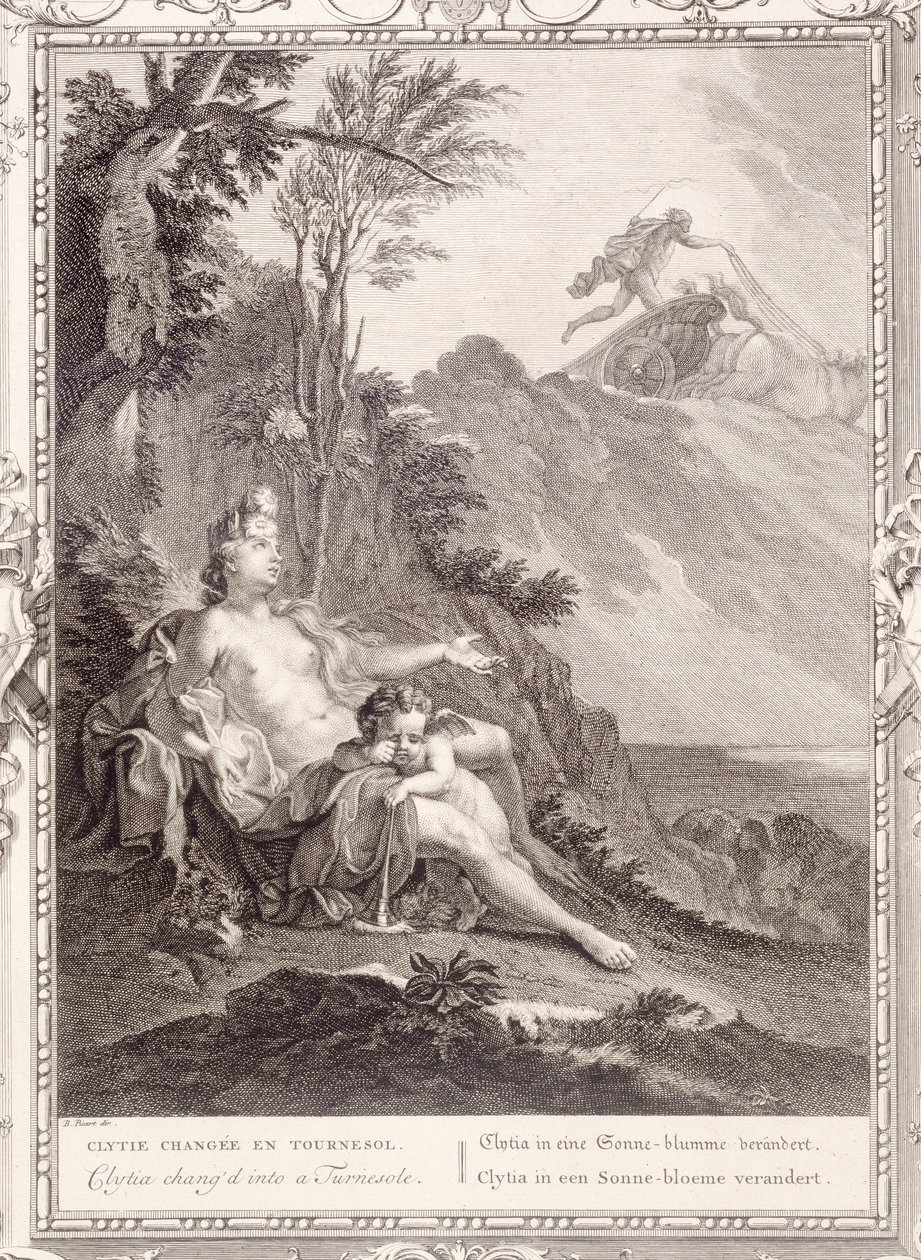 Clytia transformée en tournesol, 1731 - Bernard Picart