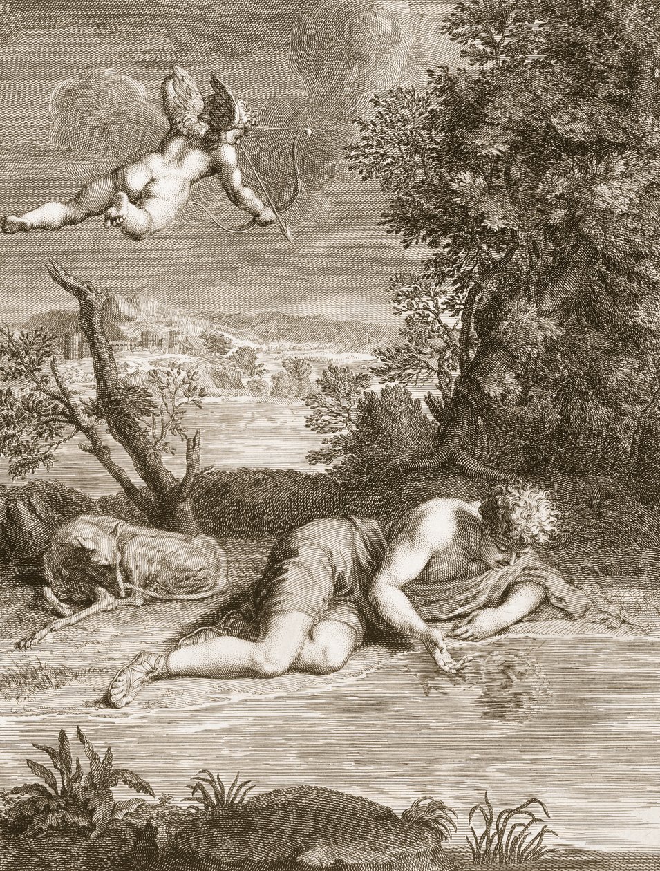 Narcisse transformé en fleur, 1730 - Bernard Picart