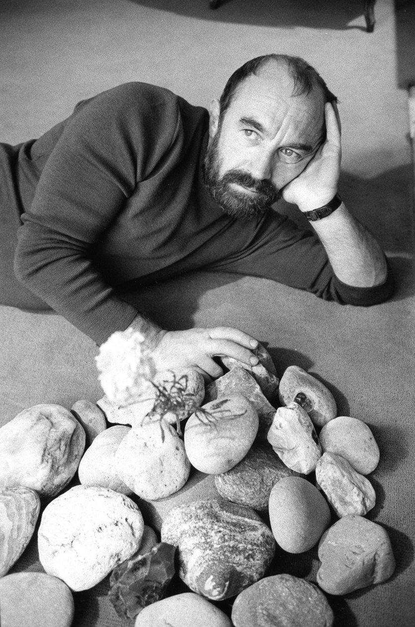 Bernard PARMEGIANI - Bernard Perrine