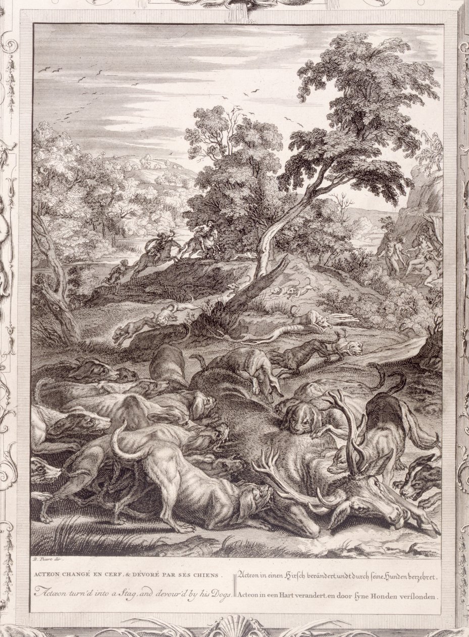 Actéon transformé en cerf et dévoré par ses chiens, 1731 - Bernard Picart