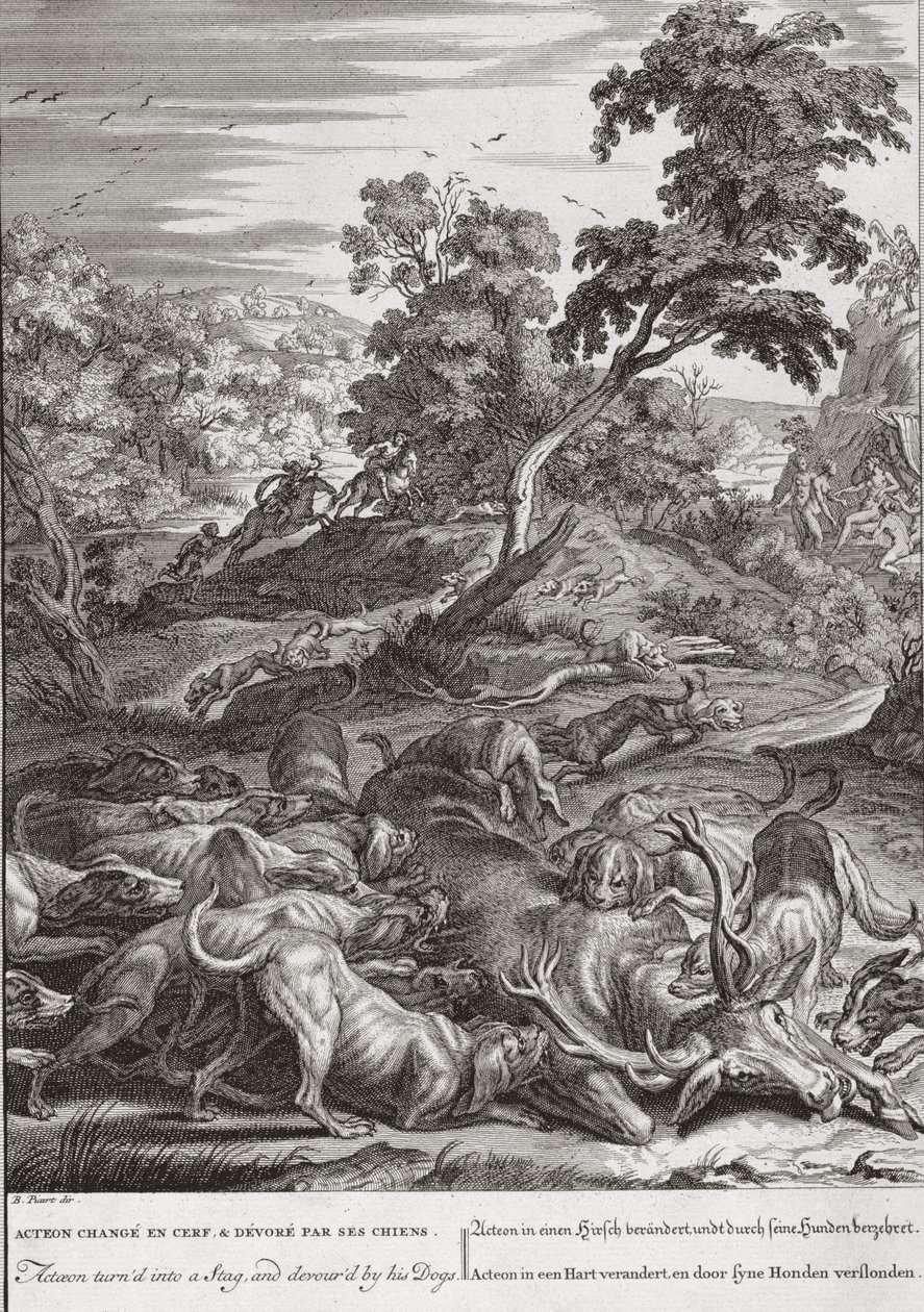 Actéon transformé en cerf et dévoré par ses chiens, 1731 - Bernard Picart