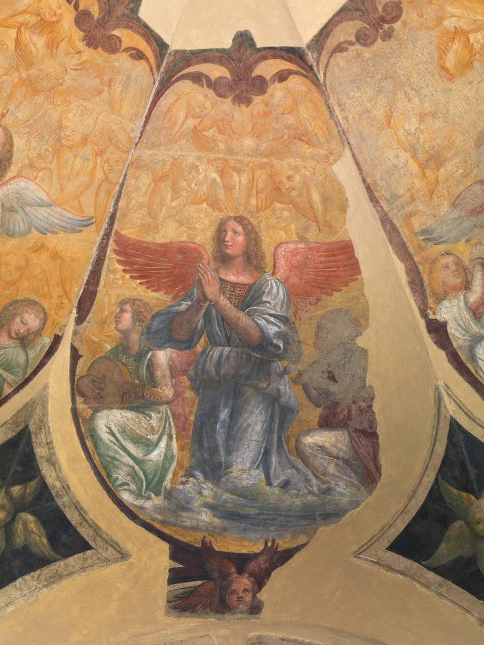 Ange priant entre deux musiciens agenouillés et chérubins - Bernardino Luini
