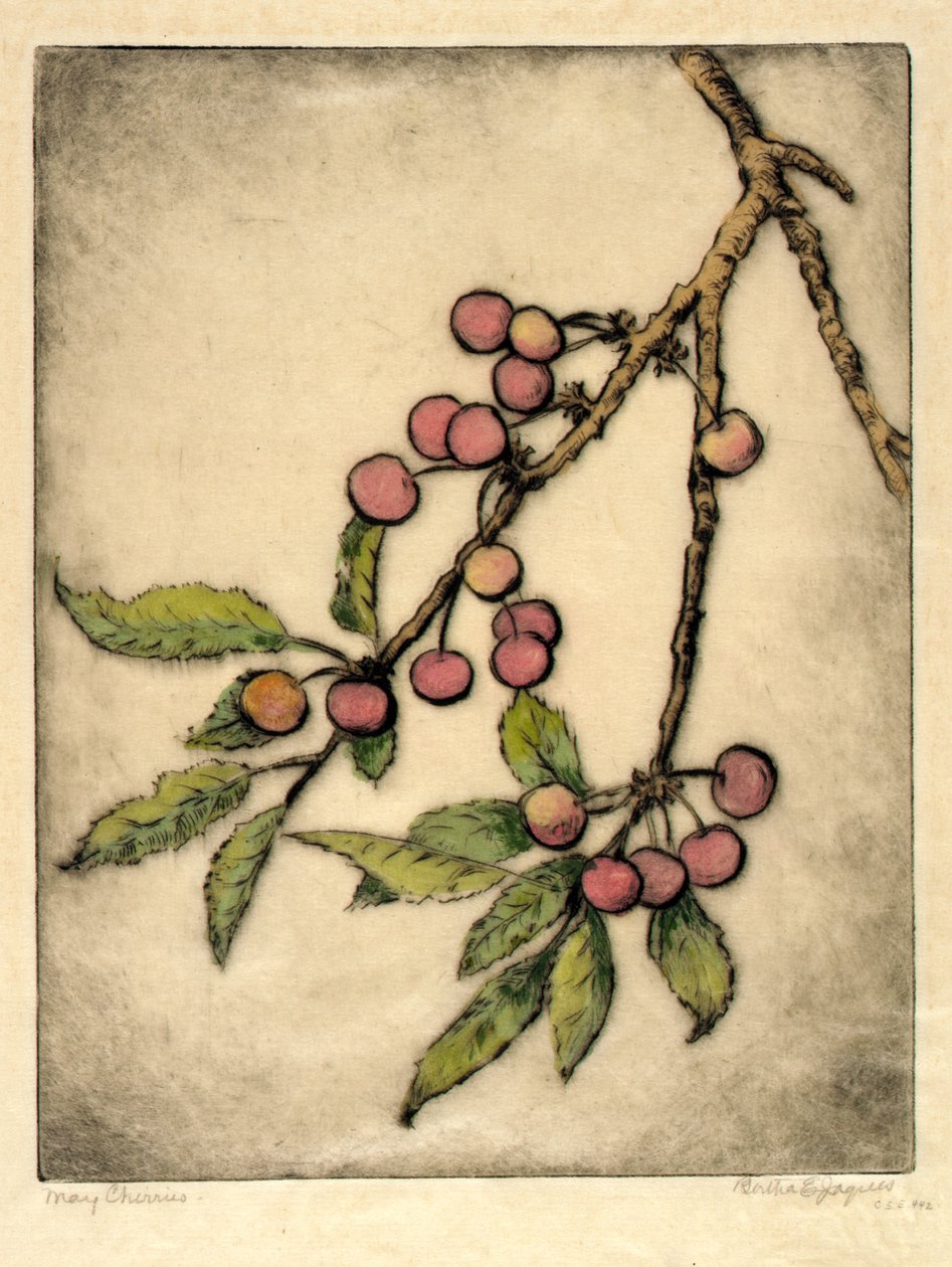 Cerises de mai - Bertha E. Jaques