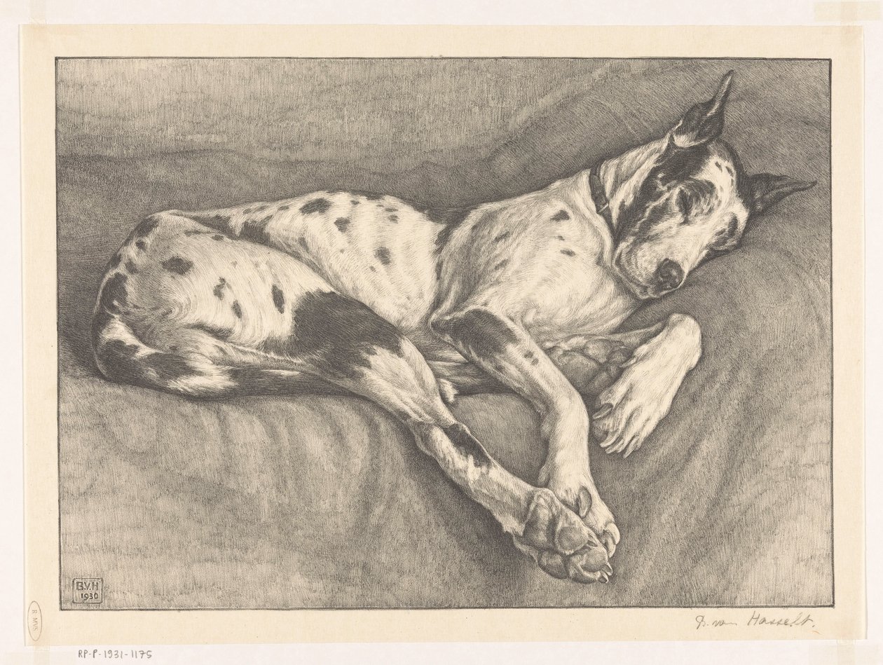 Chien endormi - Bertha van Hasselt (signed by artist)