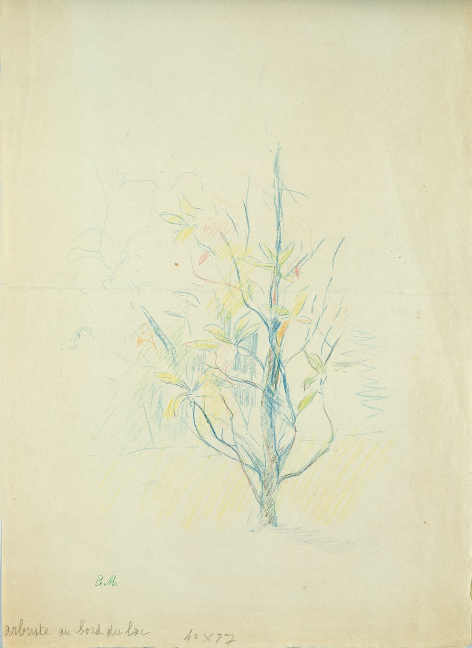 Buissons près du lac, 1893 - Berthe Morisot