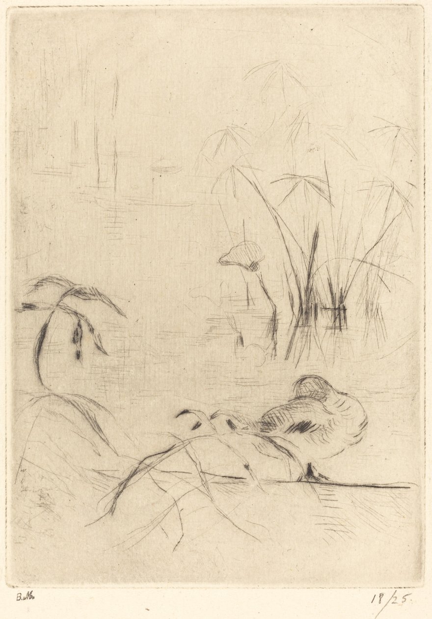 Canards au repos sur la rive, 1888-1890 - Berthe Morisot