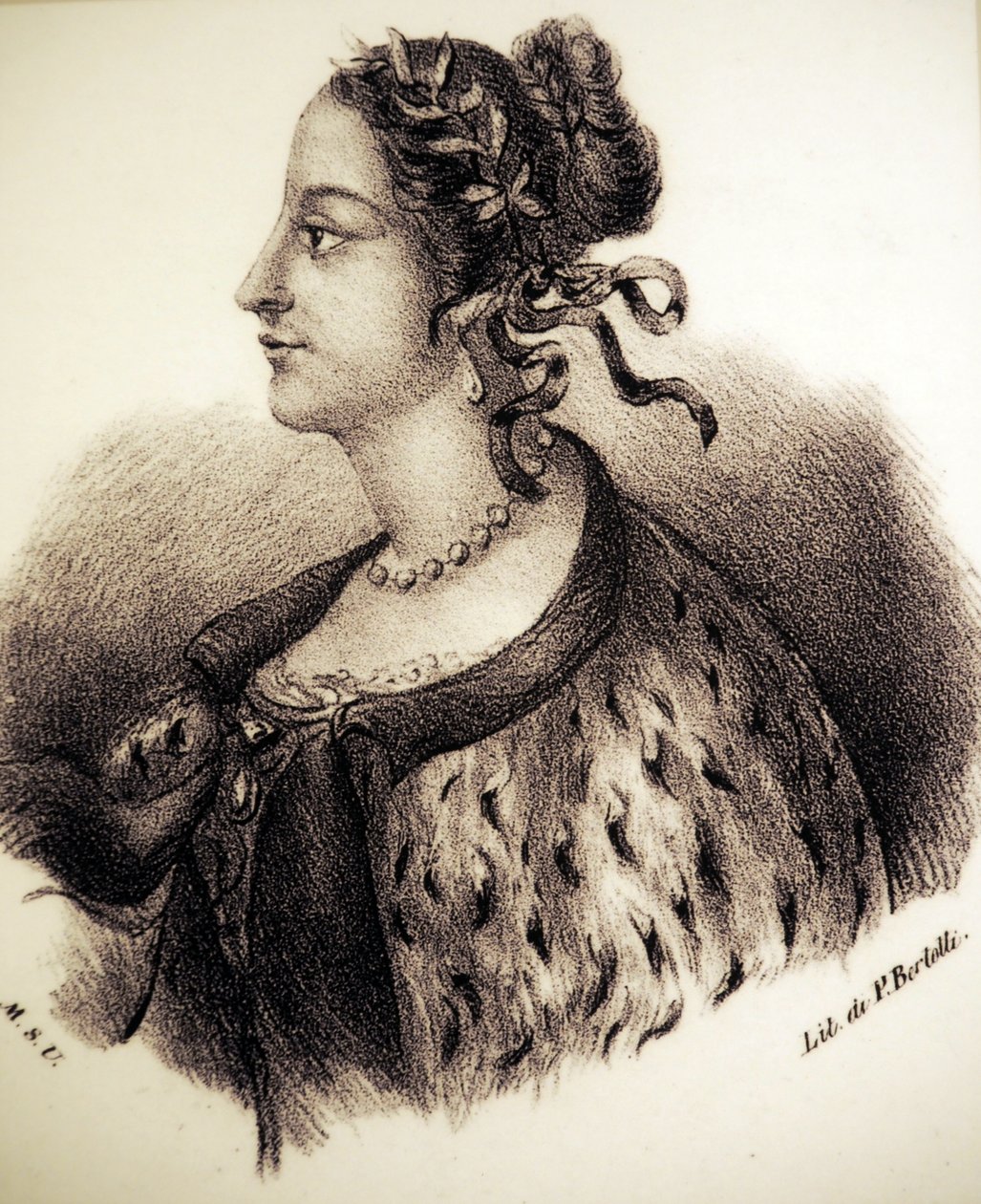 Laura Bassi - Bertolli