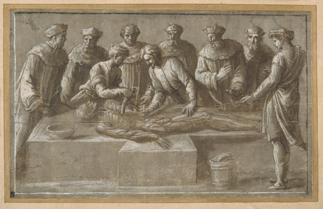 Six professeurs d