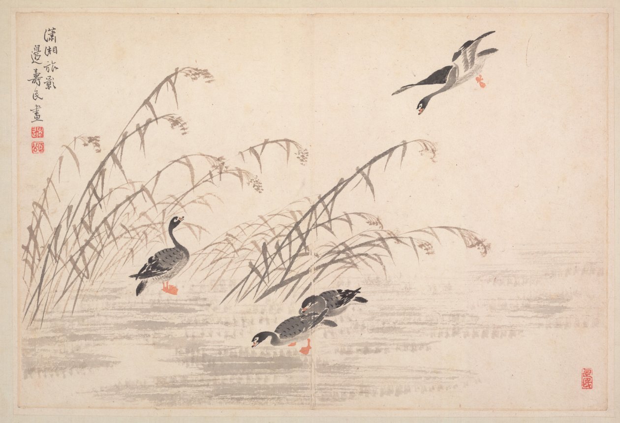 Album de calligraphie et de peintures - Bian Shoumin