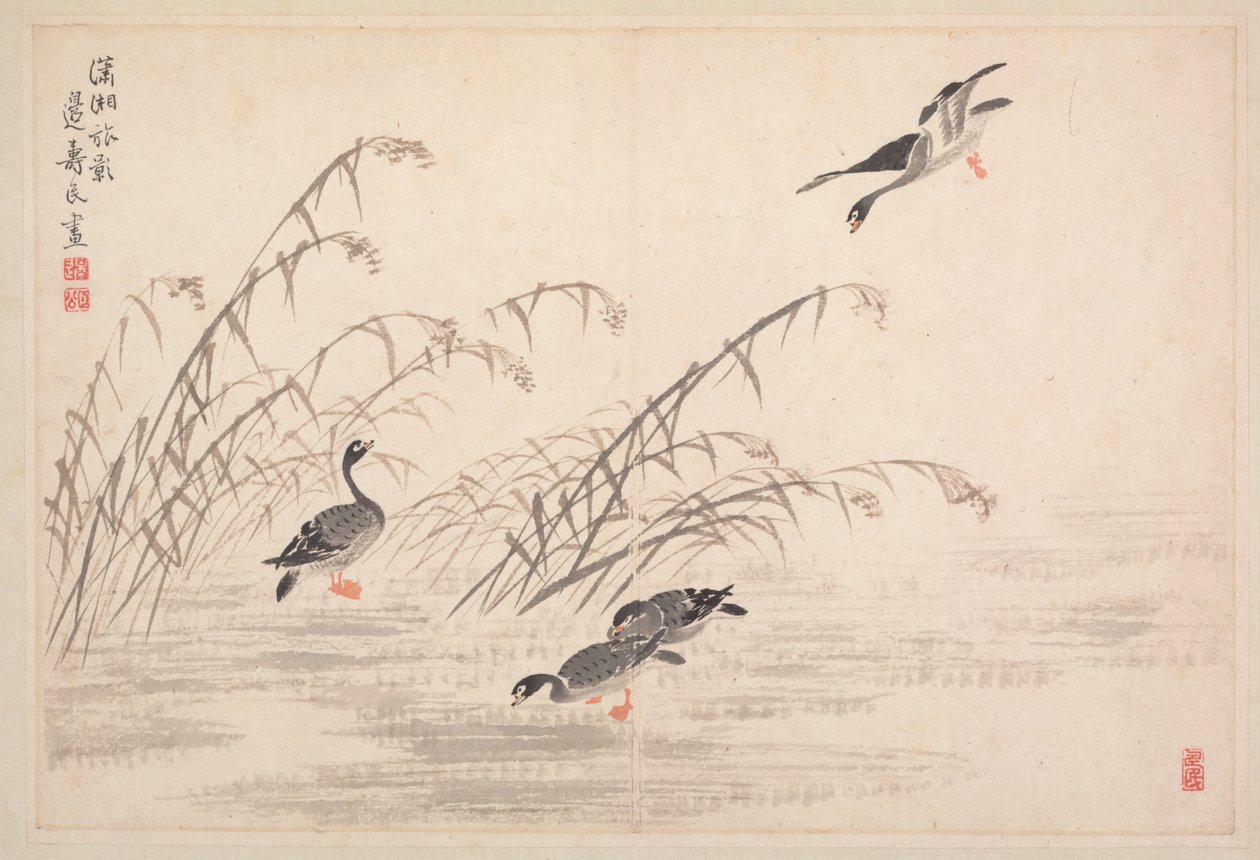 Album de calligraphie et de peintures, 18e siècle - Bian Shoumin