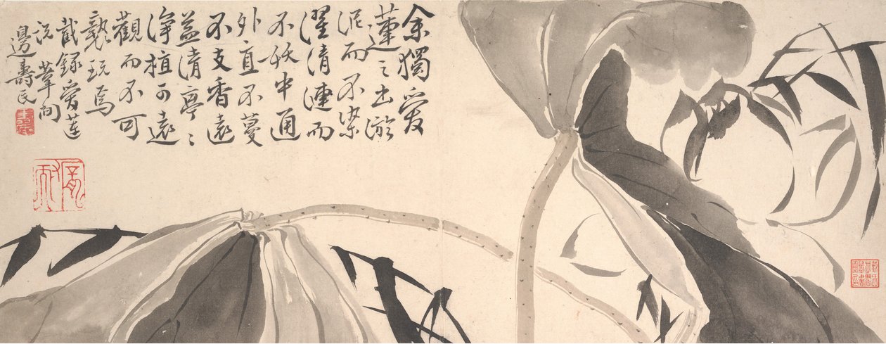 Feuilles de lotus et roseaux d