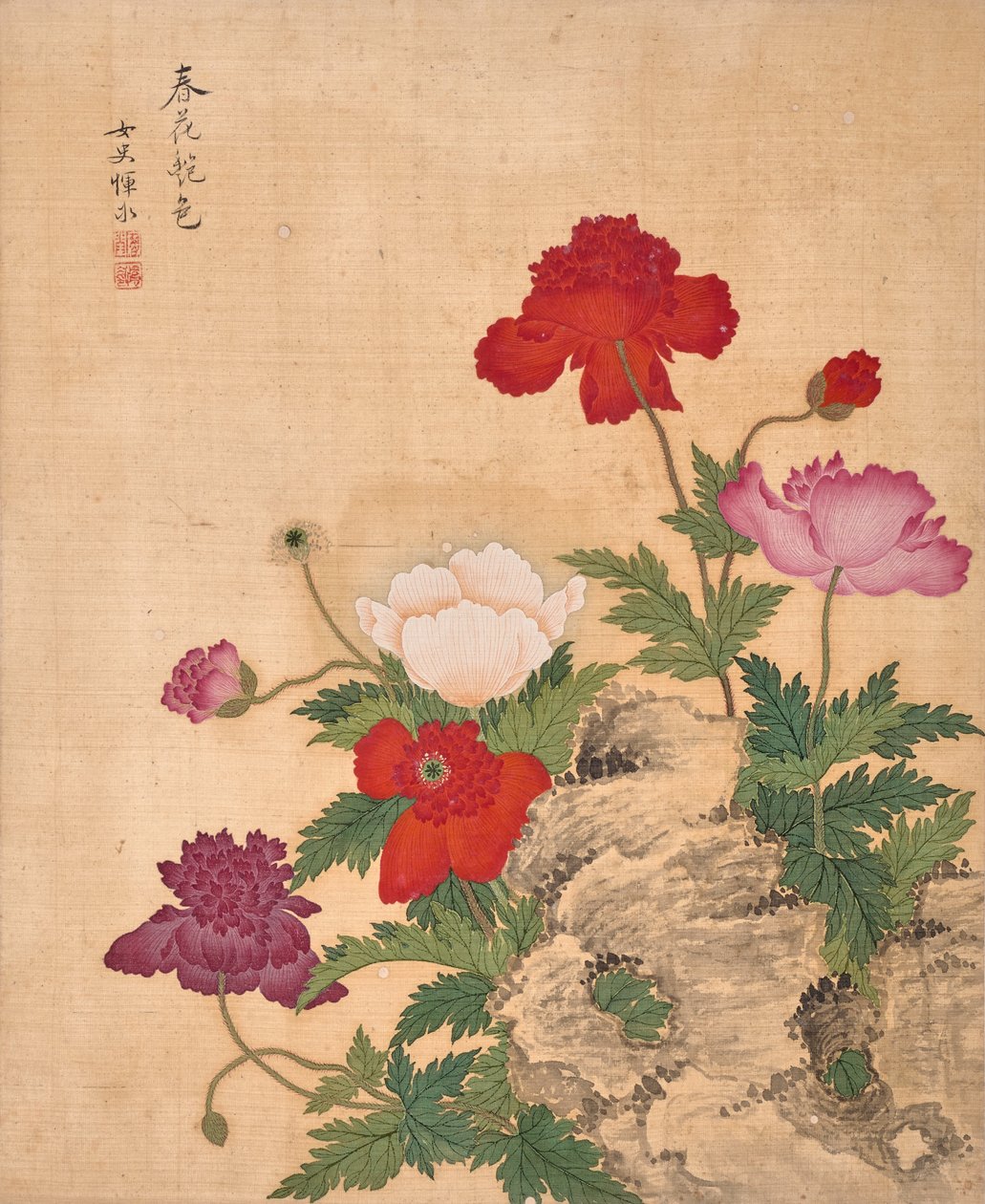 Album de fleurs (encre et couleur sur soie) - Bing Yun