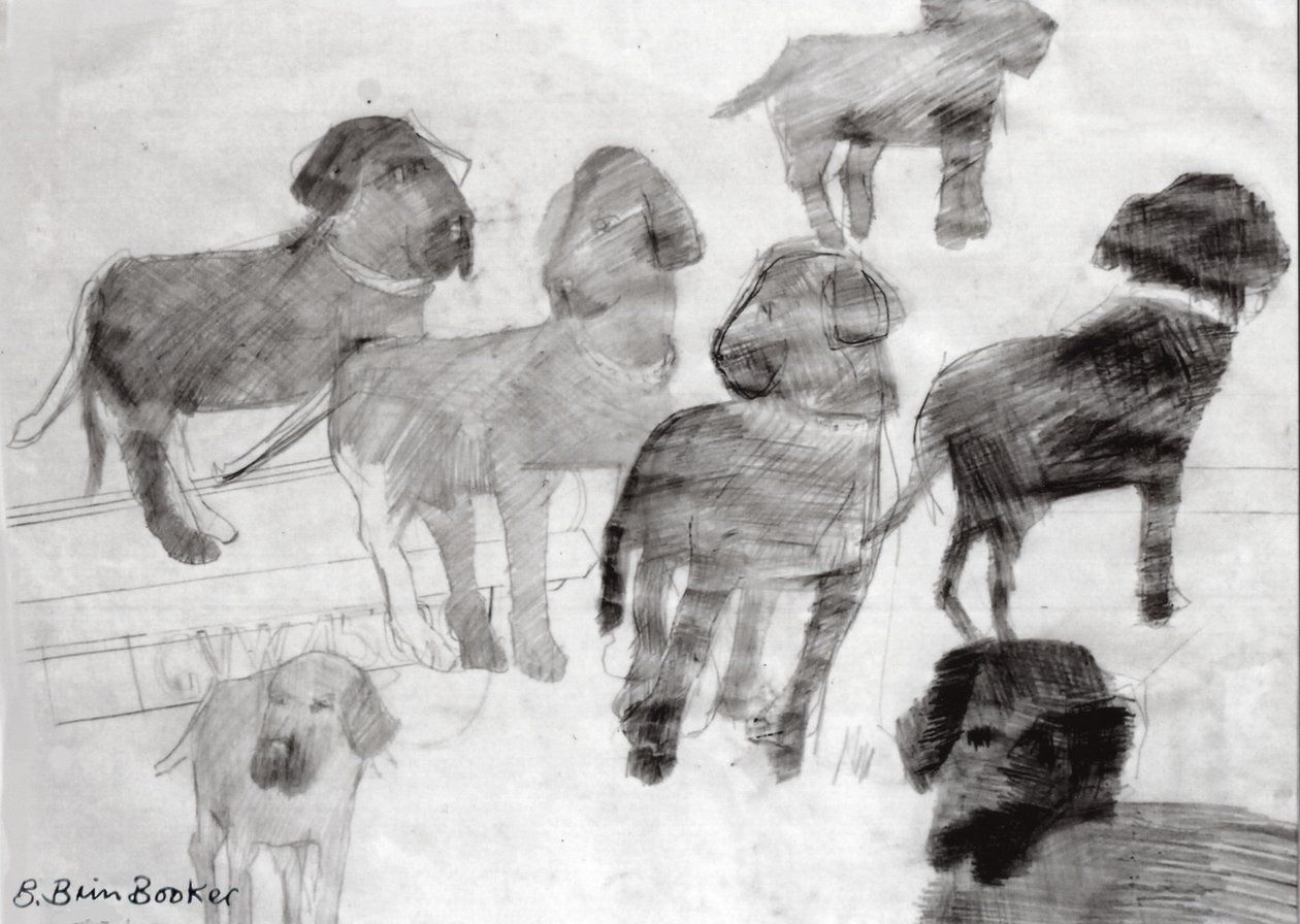Rex - croquis au lot de voitures d