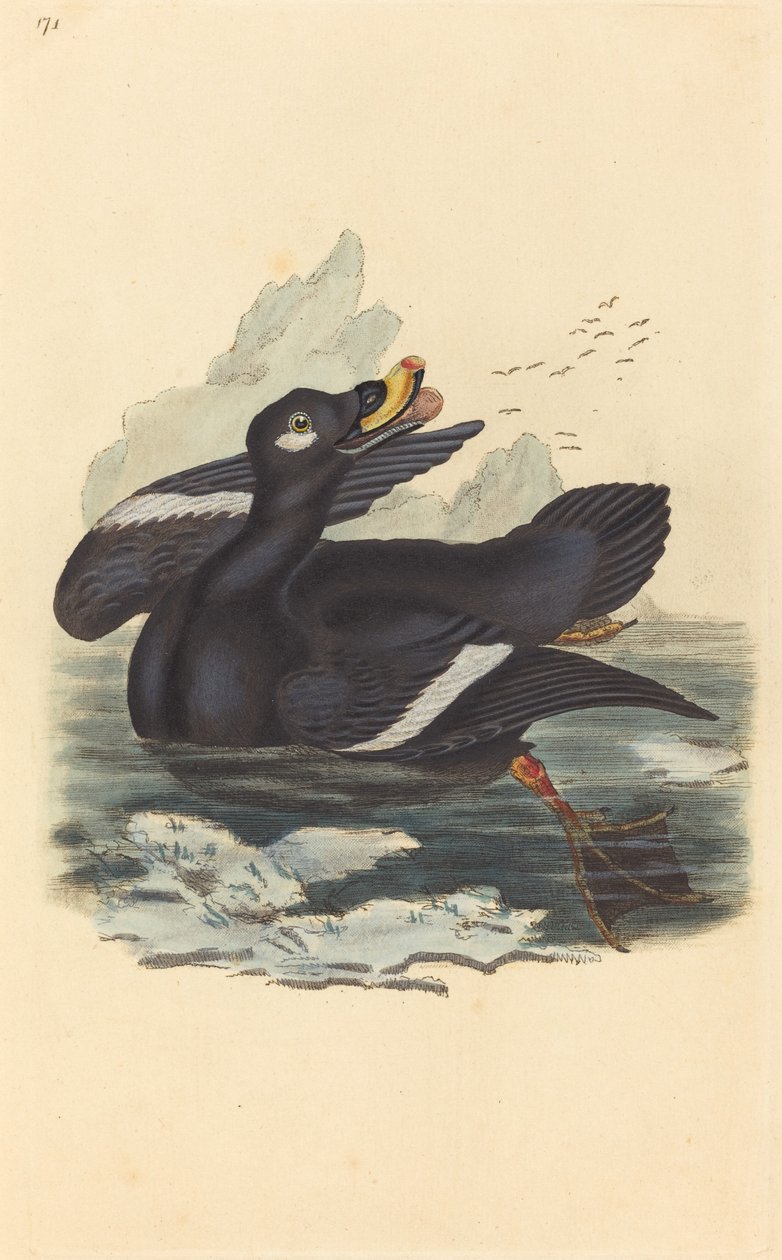 Canard en velours - British 19th Century