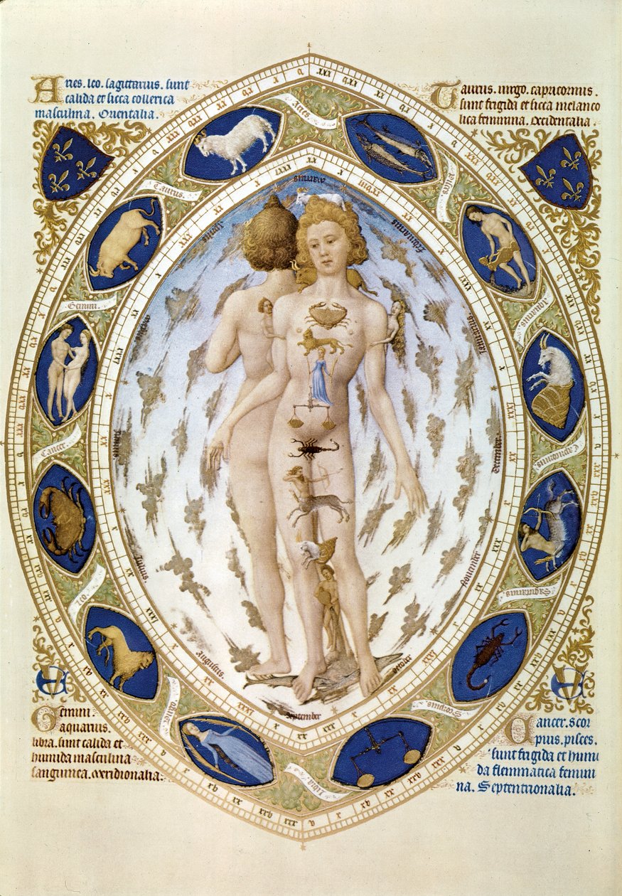 Le corps humain et l