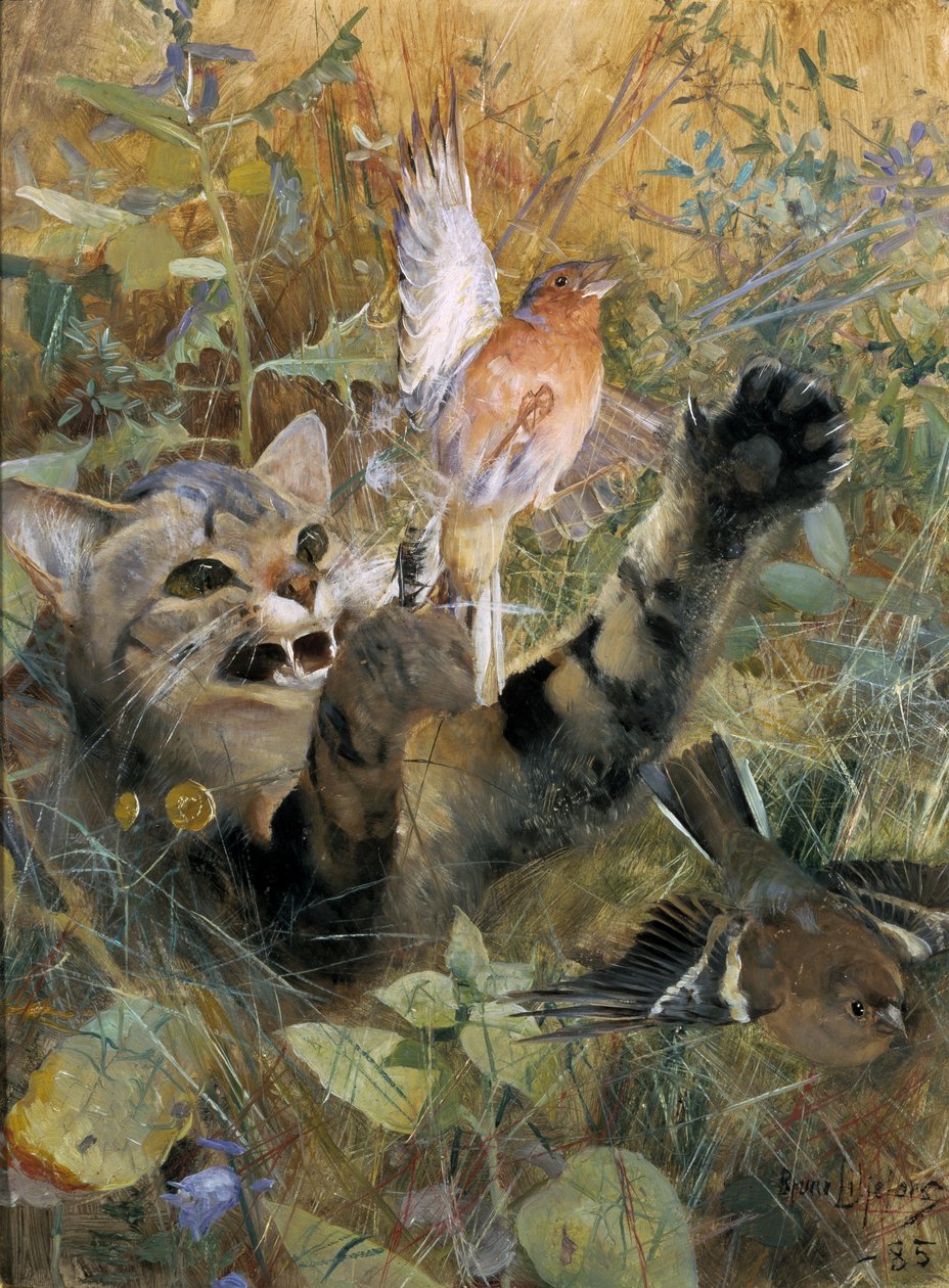 Un chat et un pinson, 1885 - Bruno Andreas Liljefors