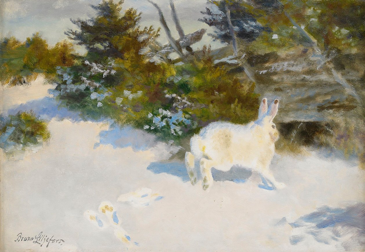 Lièvre dans un paysage d