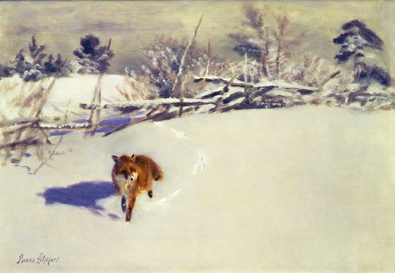 Un renard dans la neige (huile sur toile) - Bruno Andreas Liljefors